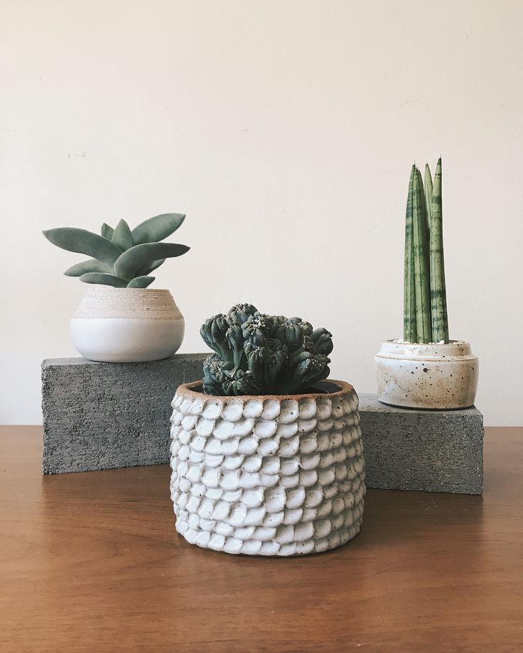 Artisanal Ceramic Planters (Set of 3)